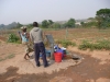 Tending the vegetables