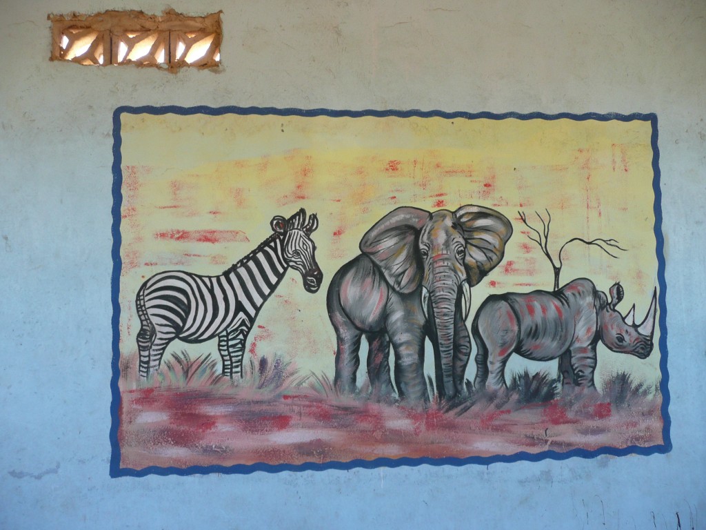 zambia2013 016